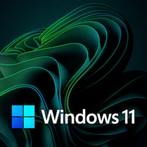 Windows 11
